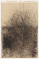 KT 1996 026
<br/>
Berkenboom
<br/>
<em>Kort, Arnold Willem (1881 - 1972)</em>